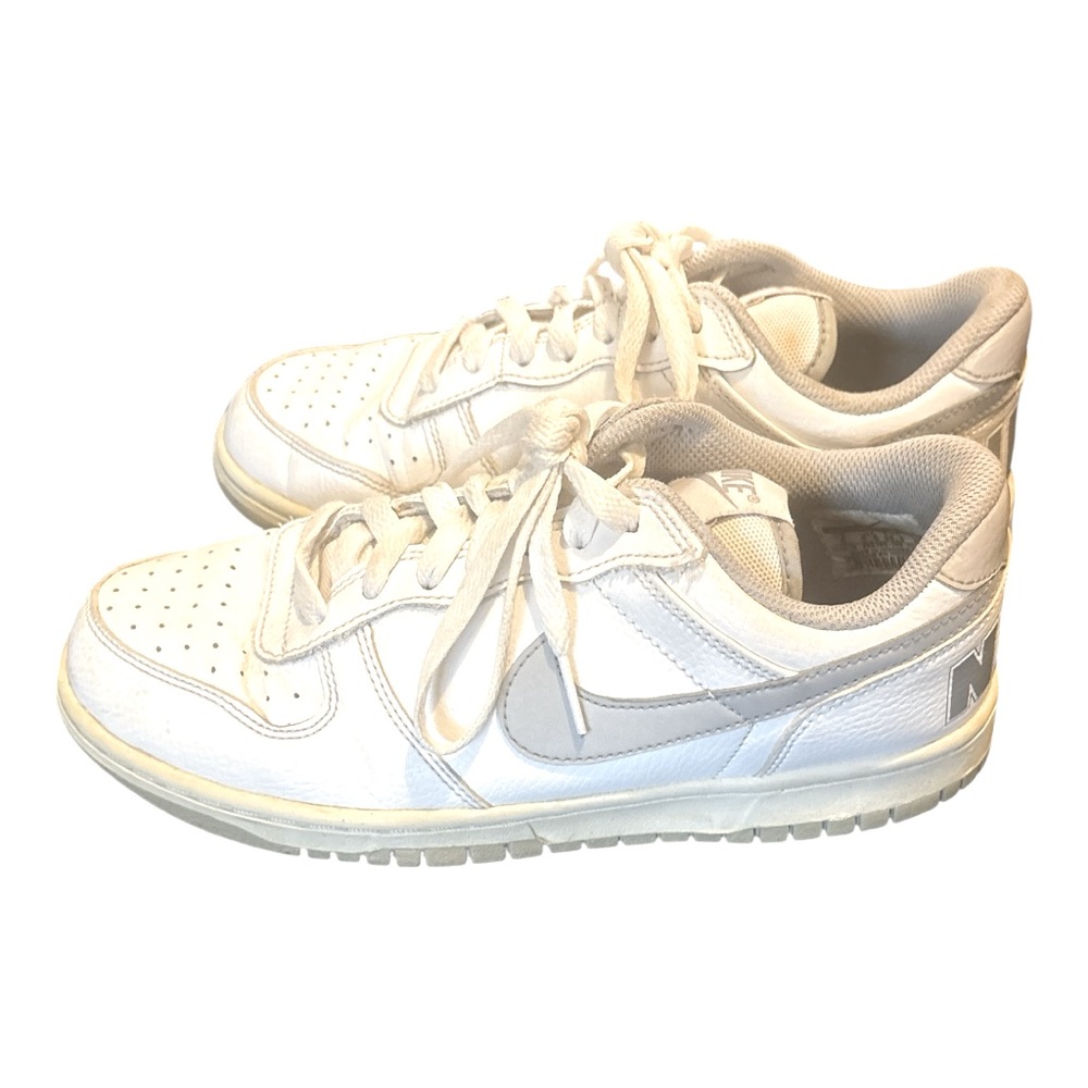 Nike Big Dunk Low White Wolf Grey tennis shoe